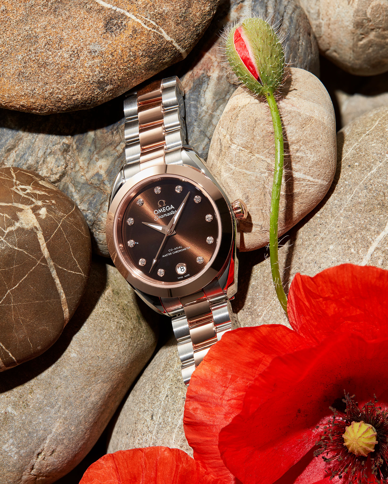 Omega Seamaster Aquaterra