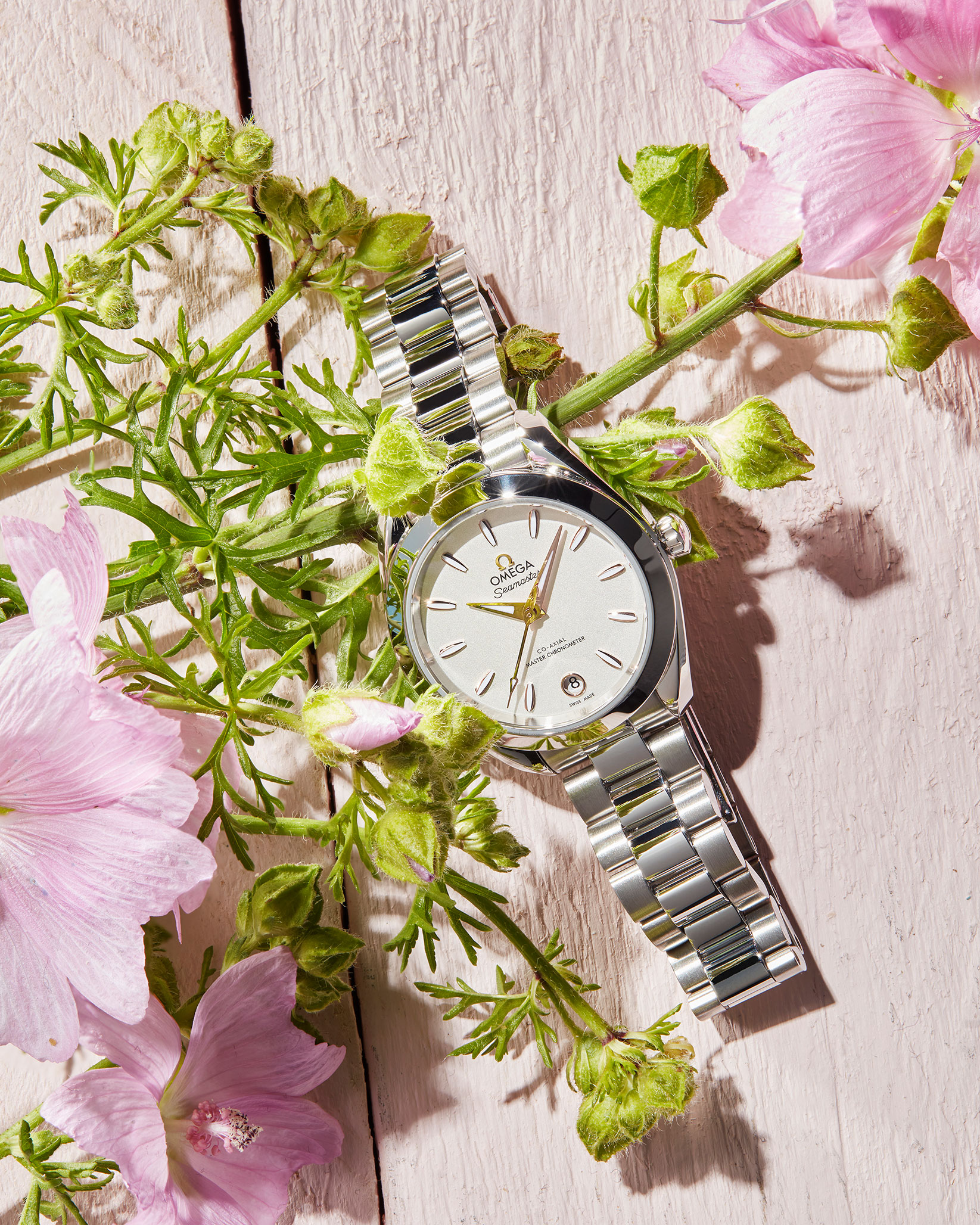 Omega Seamaster Aquaterra